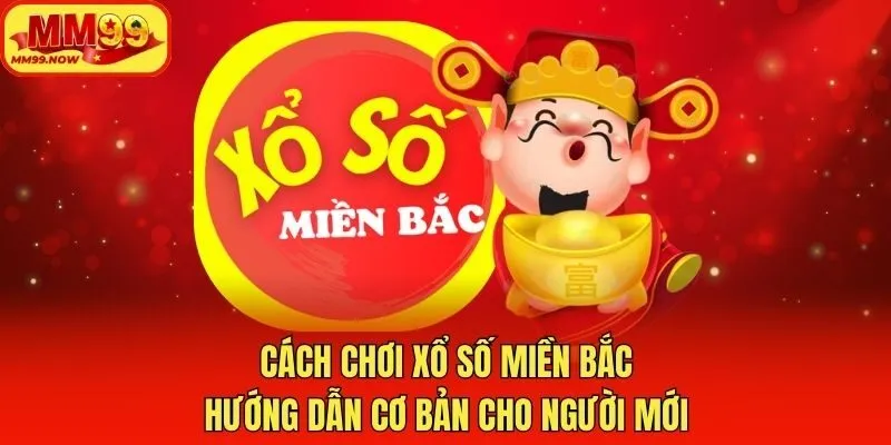 Cách Chơi Xổ Số Miền Bắc: Hướng Dẫn Cơ Bản Cho Người Mới