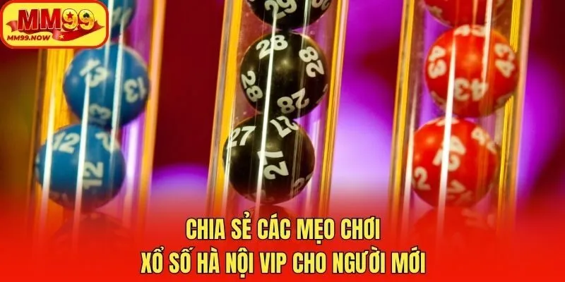 Chia sẻ các mẹo chơi xổ số Hà Nội vip cho người mới