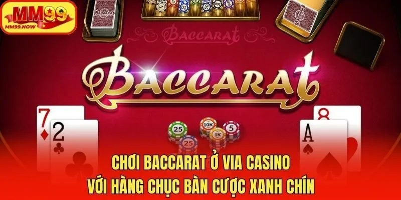 Chơi baccarat ở VIA Casino với hàng chục bàn cược xanh chín