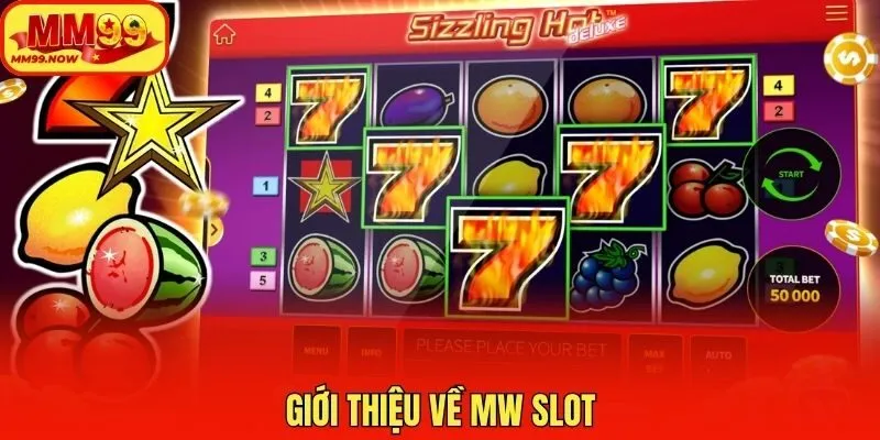 Giới thiệu về MW slot