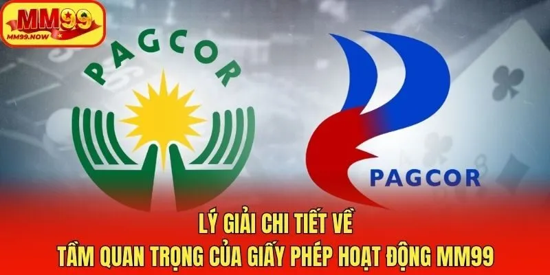 Lý giải chi tiết về tầm quan trọng của giấy phép hoạt động MM99